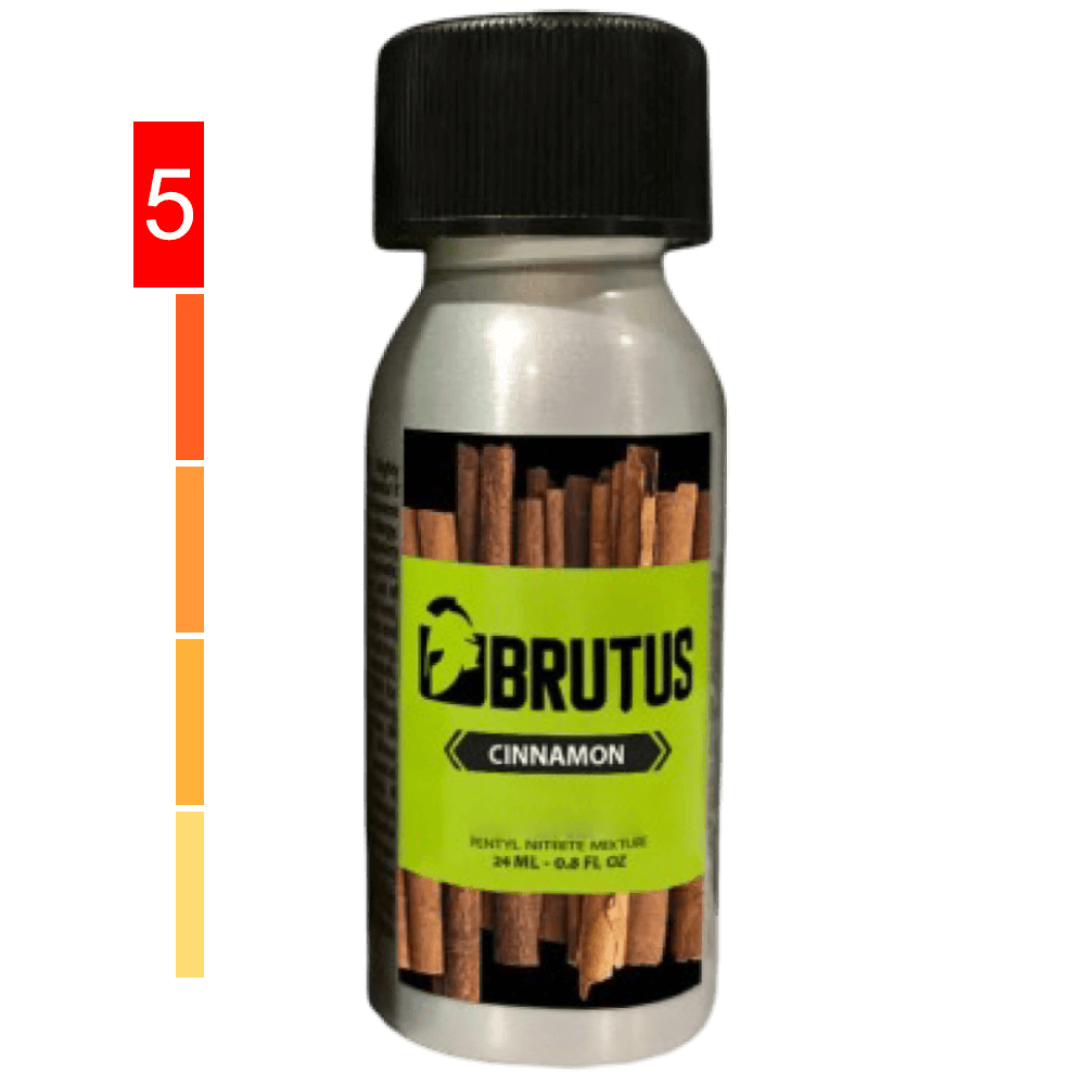 Brutus Cinnamon XL