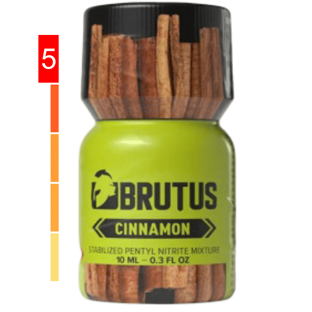 Brutus Cinnamon Small